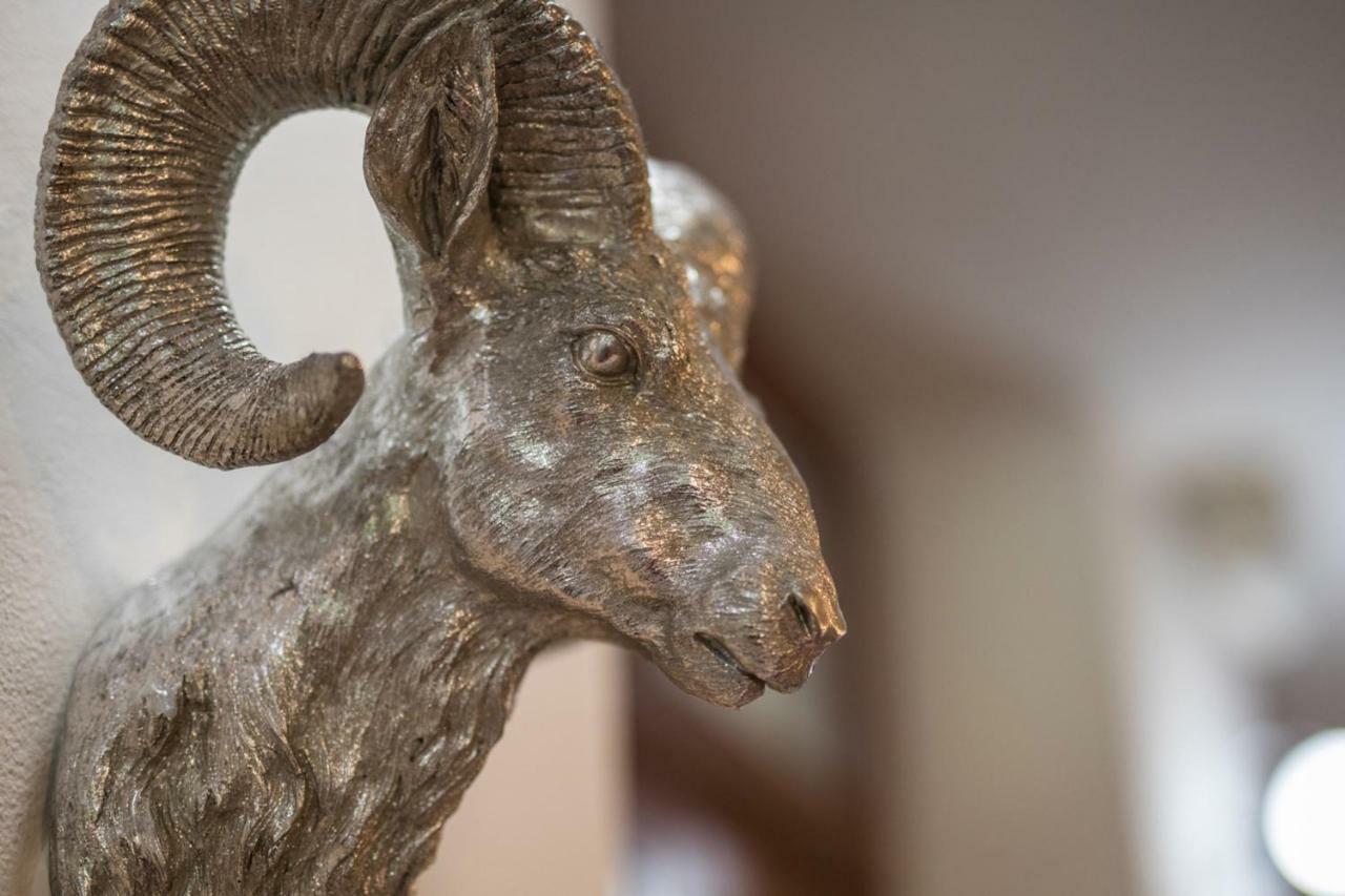 Red Deer Hotel Brezno Dış mekan fotoğraf